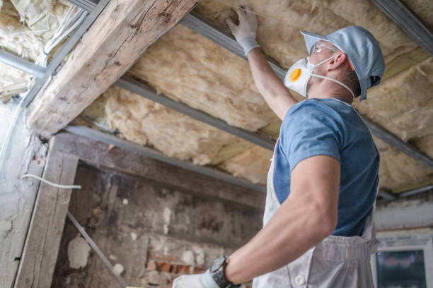 Types of Insulation We Offer in Allison Park, PA